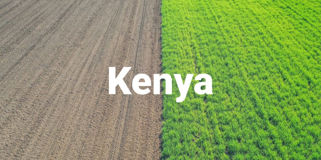 Kenya Fertilizer