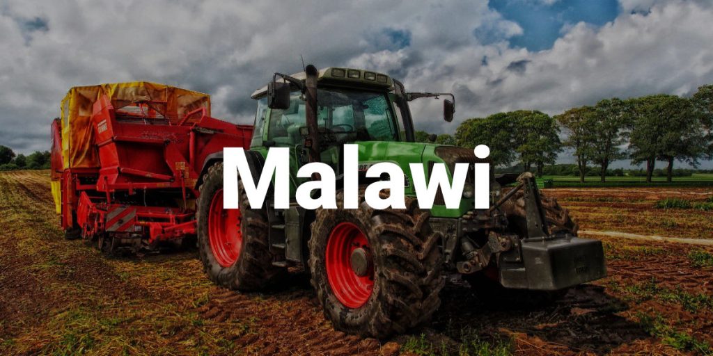 Malawi Agriculture