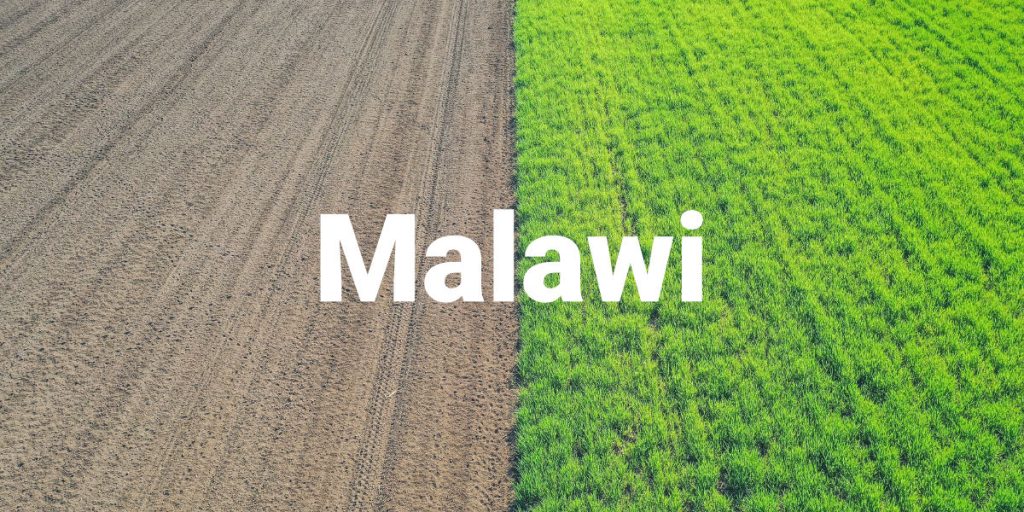 Malawi Fertilizer