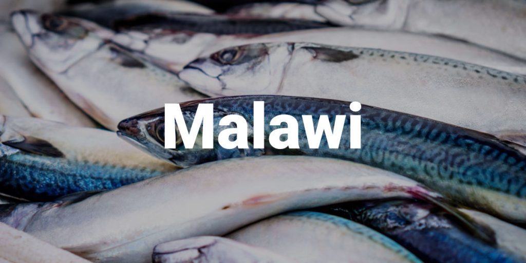 Malawi Fisheries