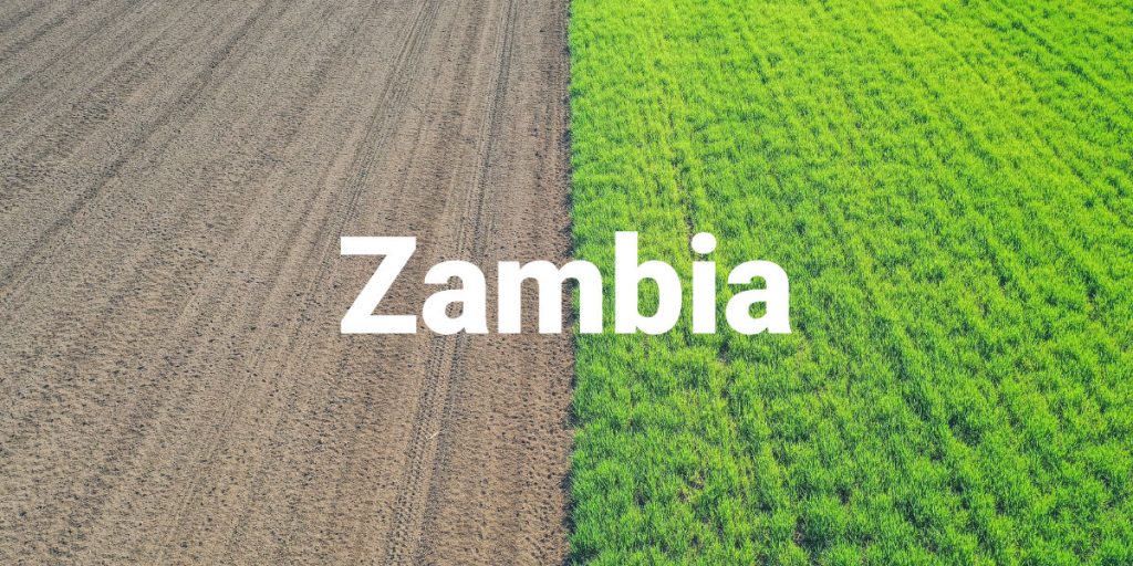 Zambia Fertilizer