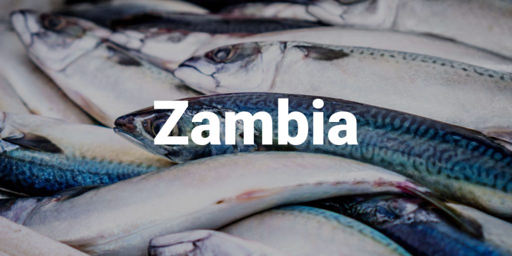 Zambia Fisheries