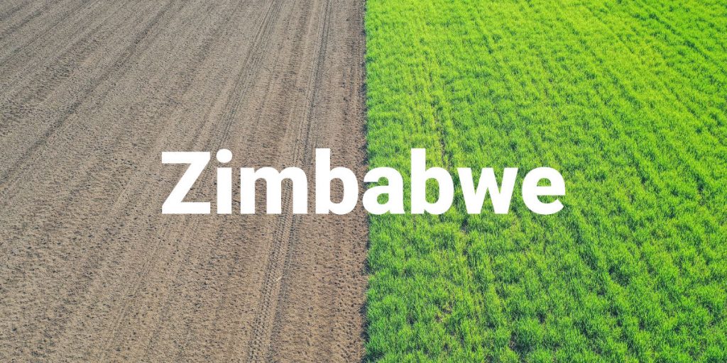 Zimbabwe Fertilizer